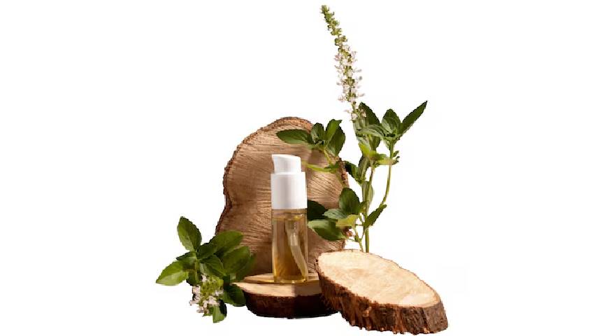 Transform Your Space with Champa Room Air Freshener