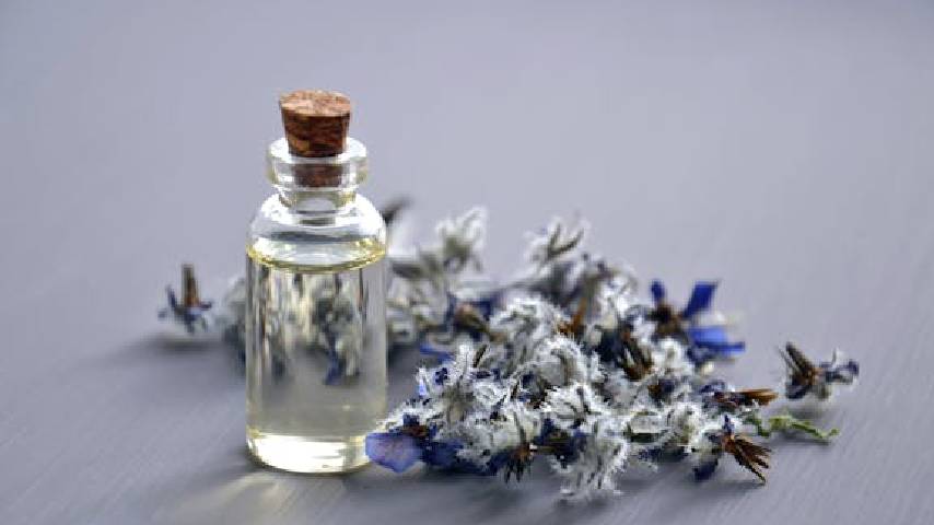 Blended Perfumes vs. Single Notes: What’s Best for You?