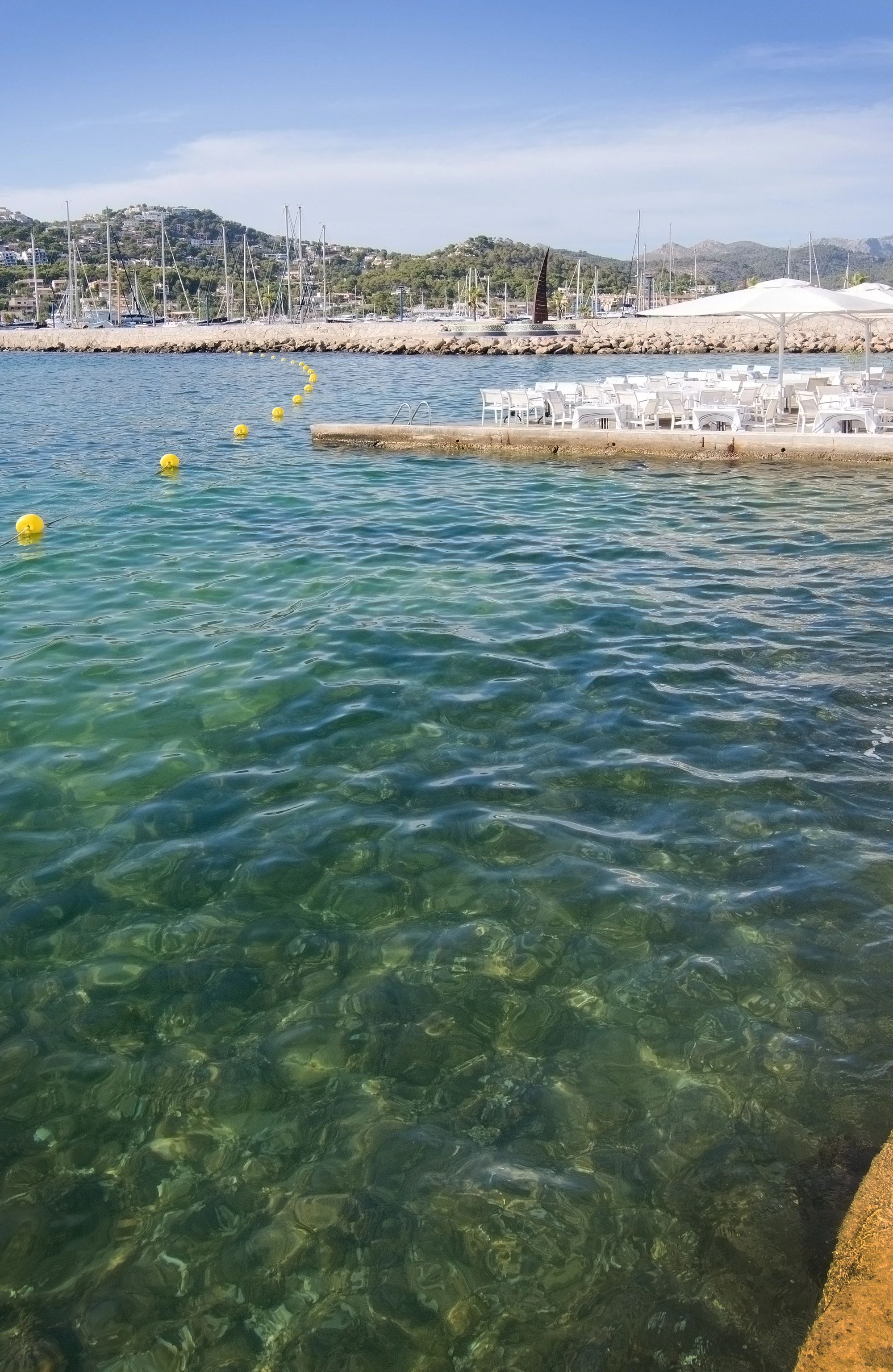 Andratx Restaurant.jpg