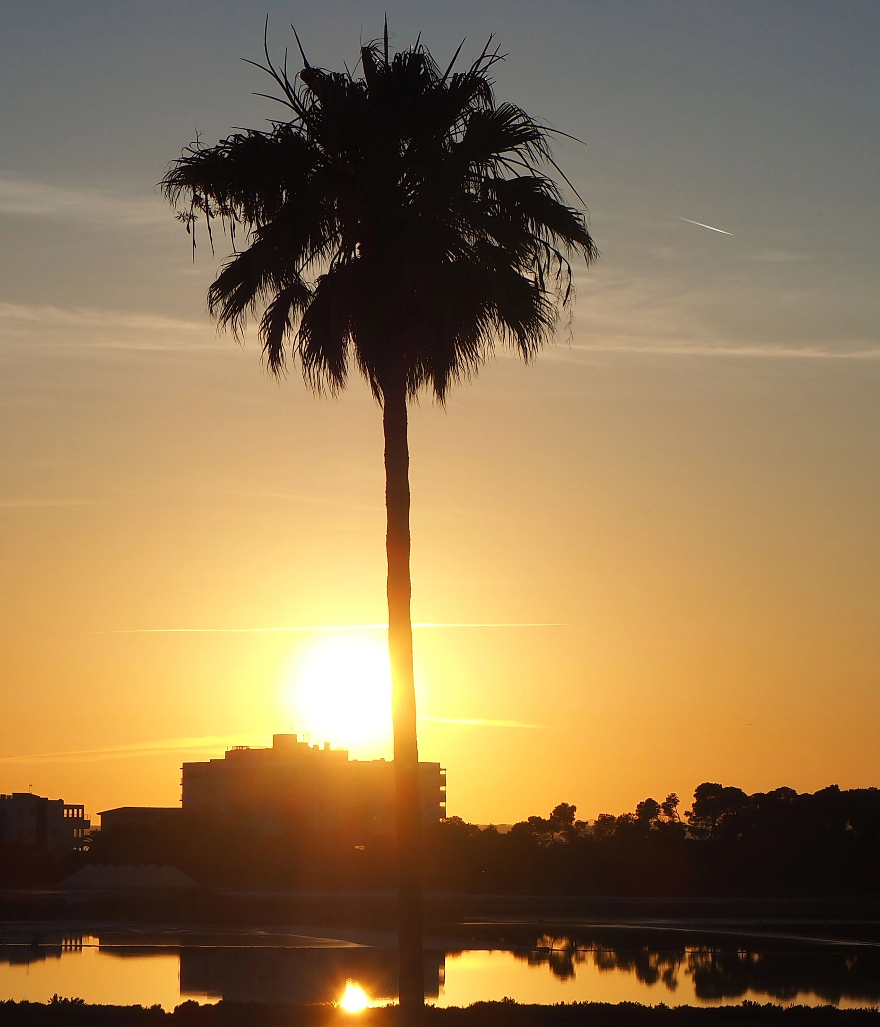 Fontsanta Hotel Ctra Campos – Colonia de Sant Jordi 6.jpg