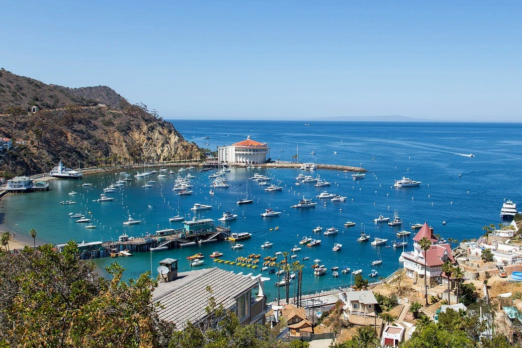 Santa Catalina: The Heartbeat of Palma Unveiled