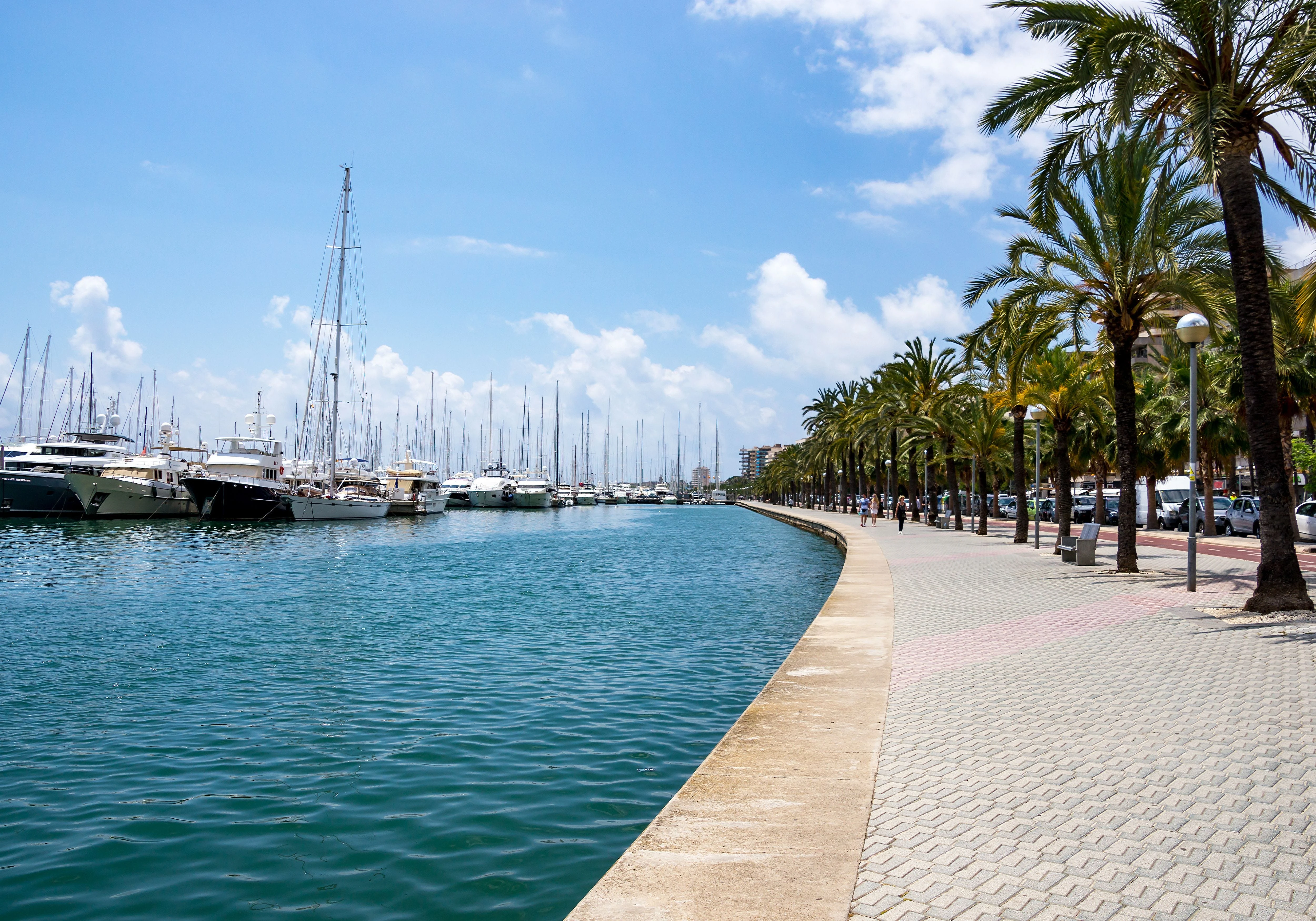 The Allure of Palma’s Paseo Maritimo: A Blend of Leisure and Culture