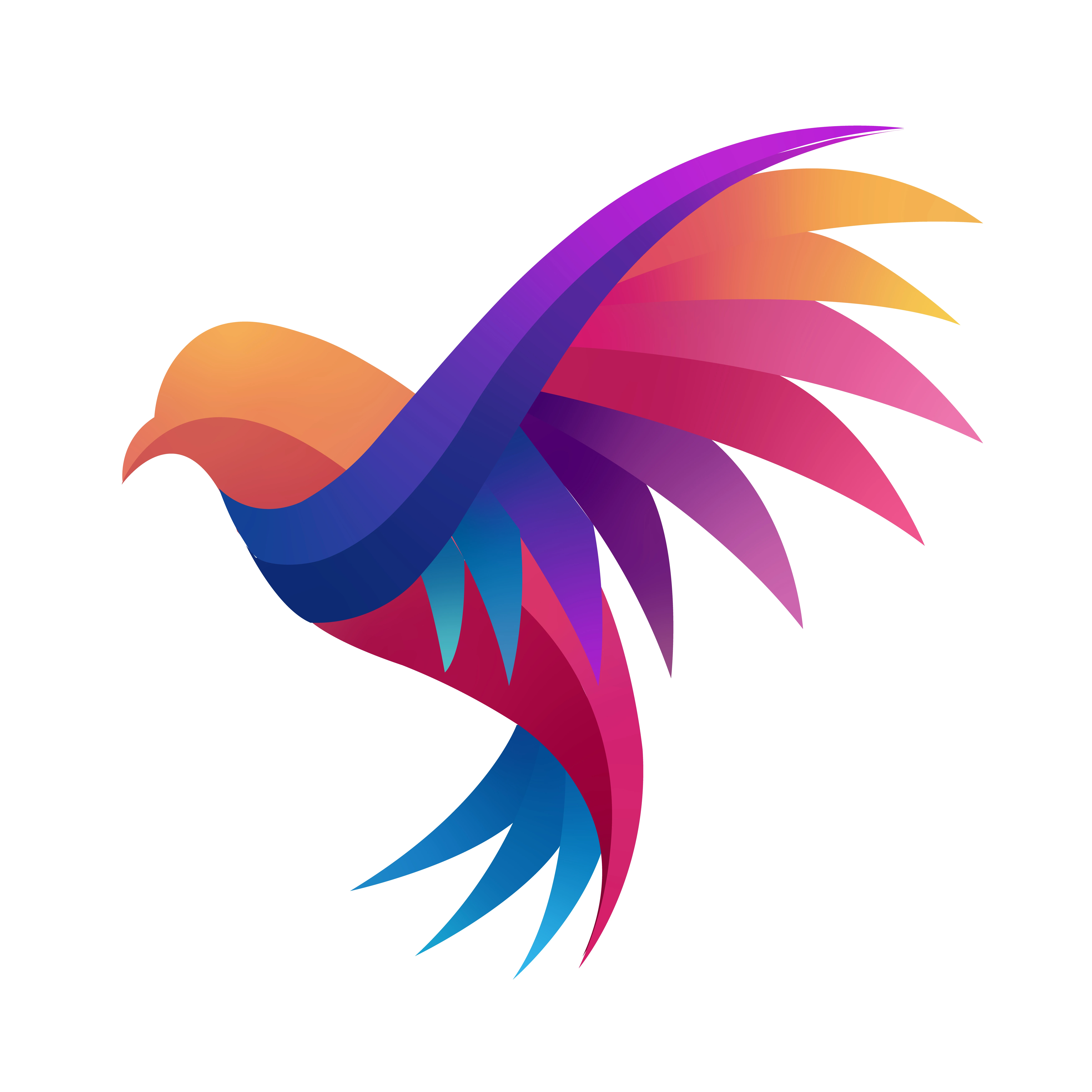 Top 10 Essential Features for Your Basic Domain