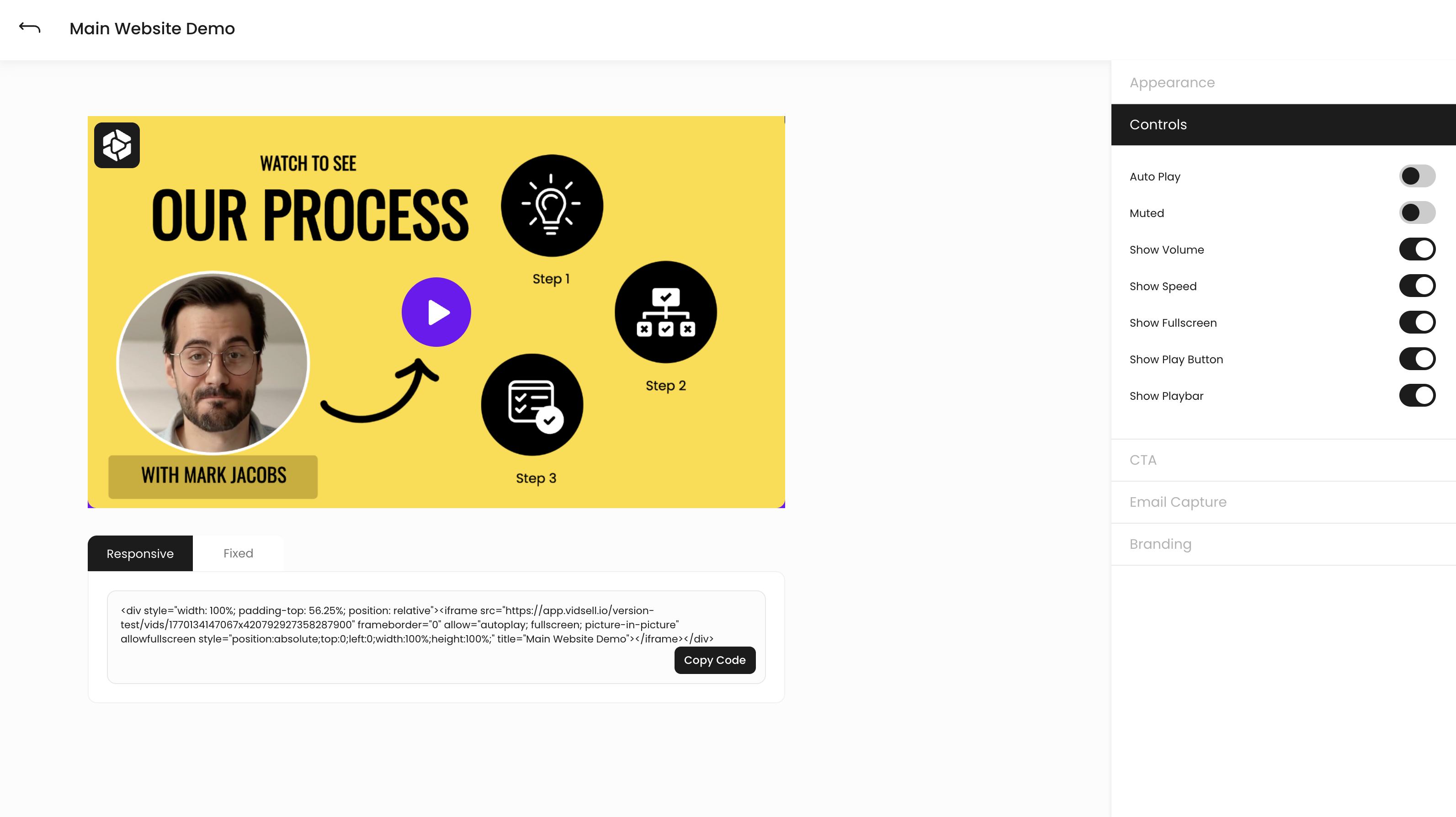 Video Player Controls.png