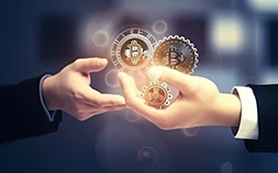 Wireframing Basics For Beginners