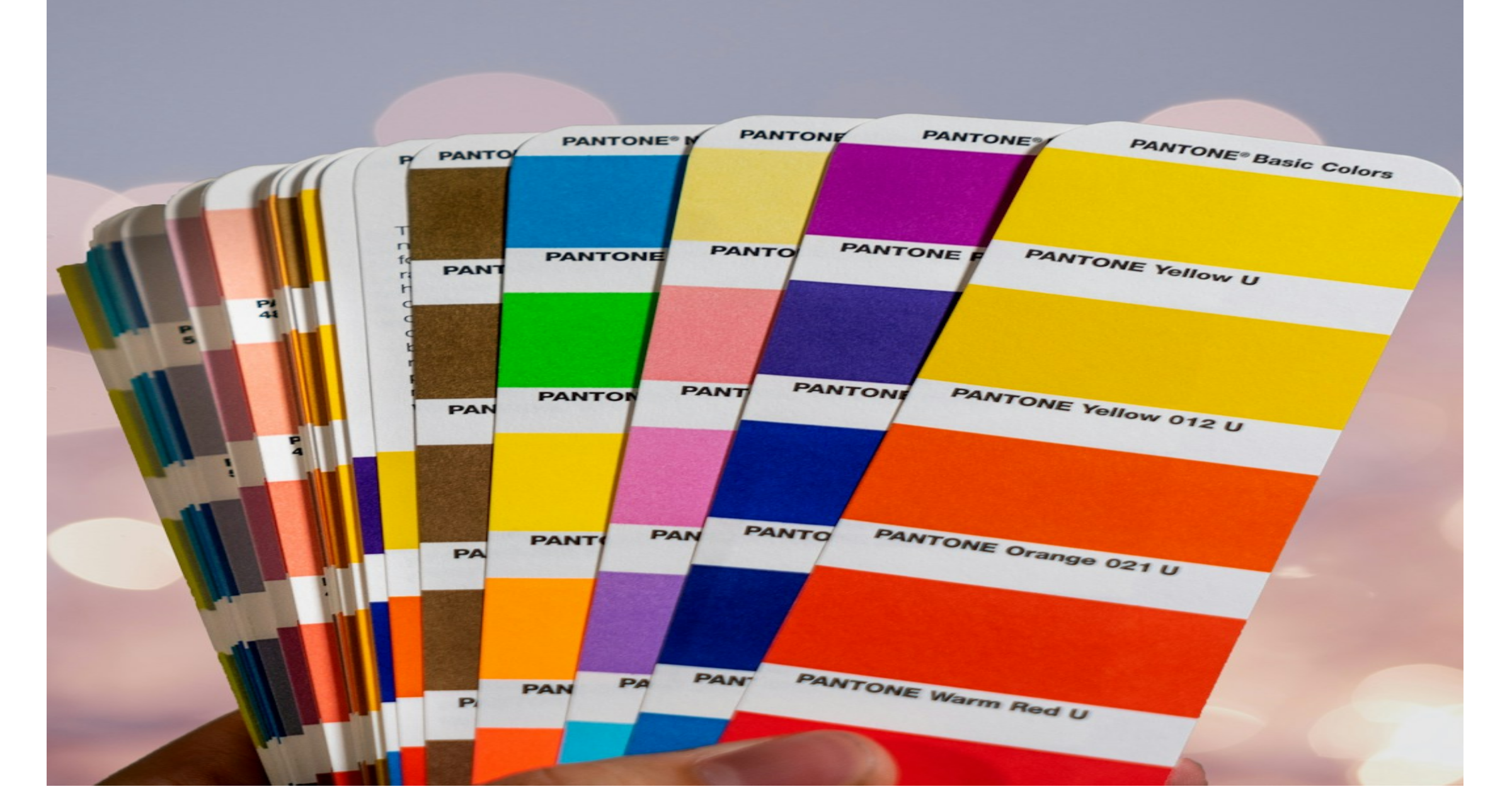 Write an article about the color wheel